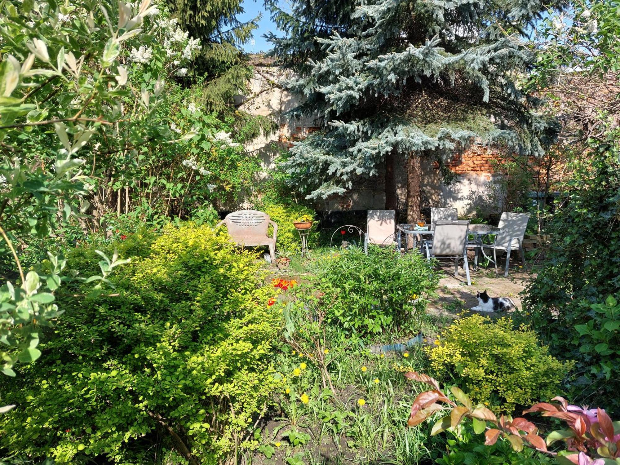 Apartament Różana Przy Ice